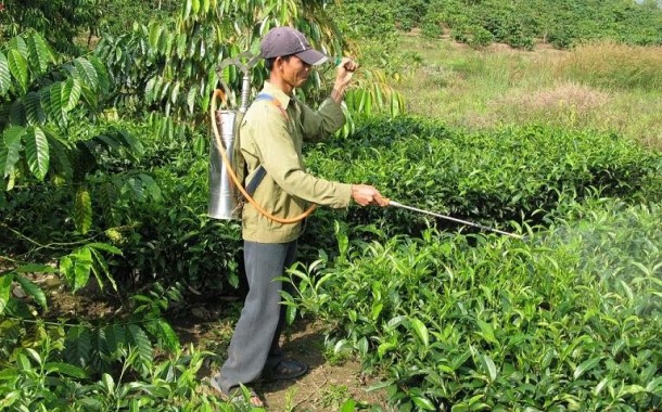 Produtores agrícolas podem continuar a usar pesticidas desde que frequentem formação até Maio