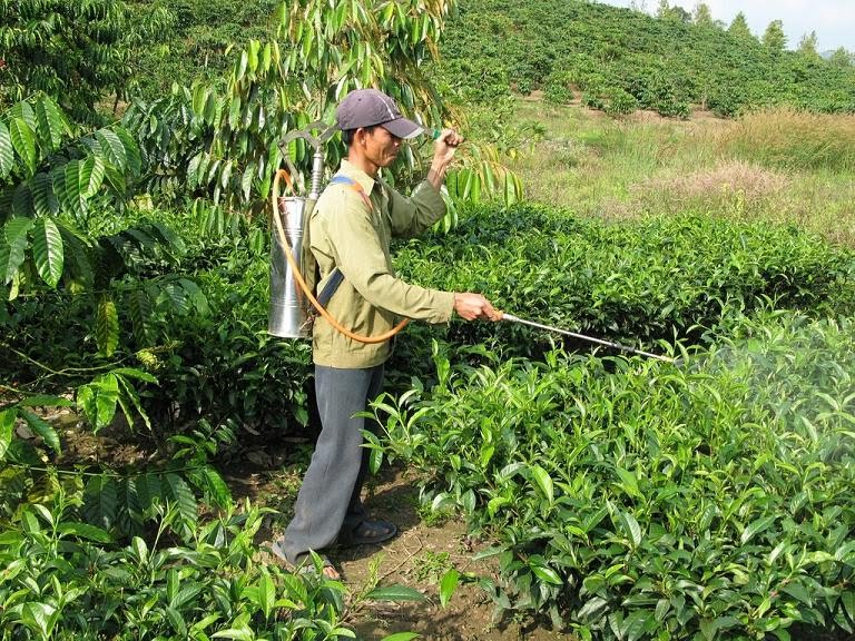 Produtores agrícolas podem continuar a usar pesticidas desde que frequentem formação até Maio