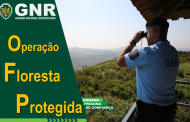 GNR no terreno até 14 de Maio com operação ‘Floresta Protegida’