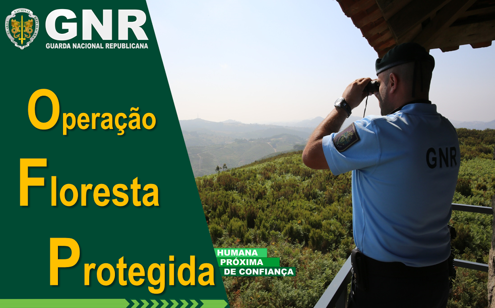 GNR no terreno até 14 de Maio com operação ‘Floresta Protegida’