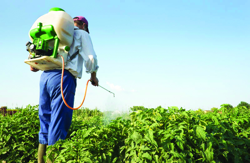 FITOFÁRMACOS: Agricultura de auto-consumo isenta de formação