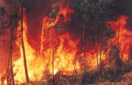 MP e defesa dizem que sexagenário detido a incendiar  mato em Vila Verde não é “perigoso”