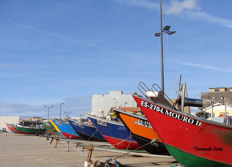 Pescadores da Apúlia pedem melhores acessos e venda do pescado fora da lota de Esposende