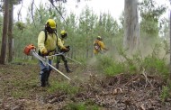 Câmara de Braga e GNR fiscalizam espaços rurais; sensibilizar proprietários para fogos florestais é objectivo