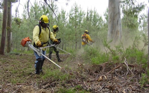 Câmara de Braga e GNR fiscalizam espaços rurais; sensibilizar proprietários para fogos florestais é objectivo