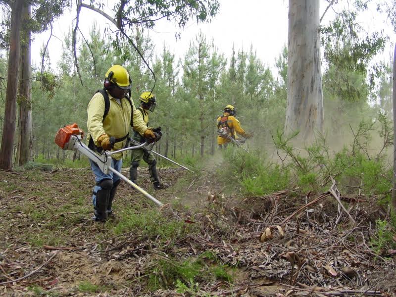 Câmara de Braga e GNR fiscalizam espaços rurais; sensibilizar proprietários para fogos florestais é objectivo
