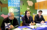 ‘Oxigenar Braga’ arranca amanhã para assinalar Primavera