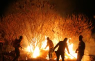 Tribunal de Braga julga incendiários que atearam fogos em Amares e Ponte de Lima