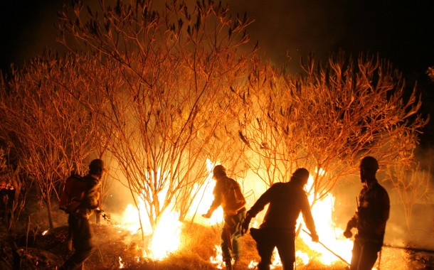 Tribunal de Braga julga incendiários que atearam fogos em Amares e Ponte de Lima