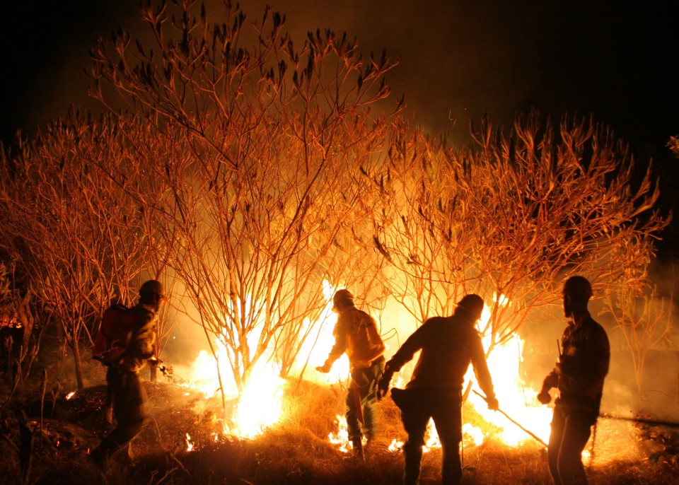 Tribunal de Braga julga incendiários que atearam fogos em Amares e Ponte de Lima