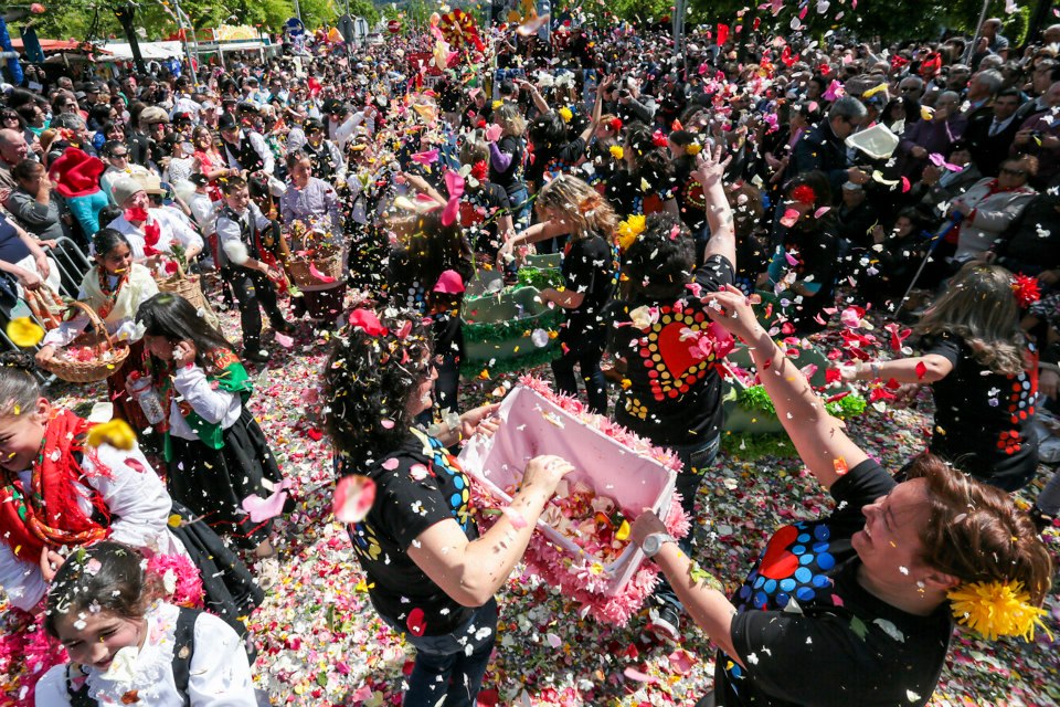 A maior Batalha das Flores de sempre enche este domingo de pétalas e cor Festa das Cruzes