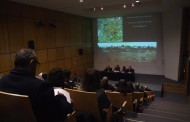 Braga: Musealização da Ínsula das Carvalheiras é ´processo prioritário´