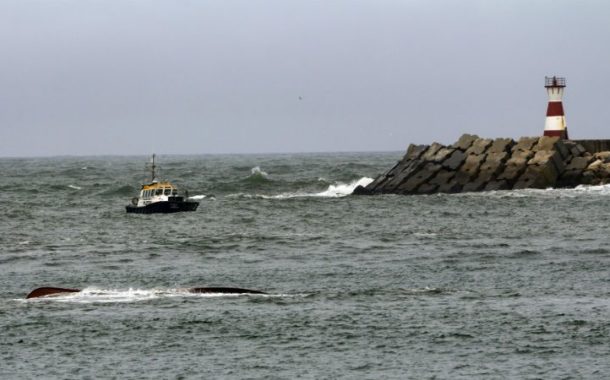 Dois pescadores morrem em naufrágio em Ílhavo; terceiro sobrevive