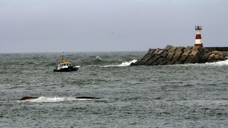 Dois pescadores morrem em naufrágio em Ílhavo; terceiro sobrevive