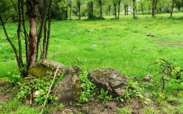 Corpo de idoso aparece numa bouça em Travassós, Vila Verde