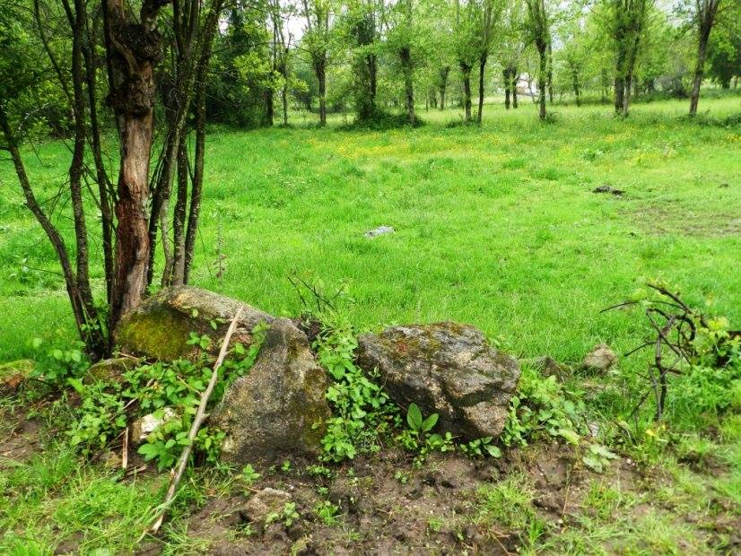 Corpo de idoso aparece numa bouça em Travassós, Vila Verde