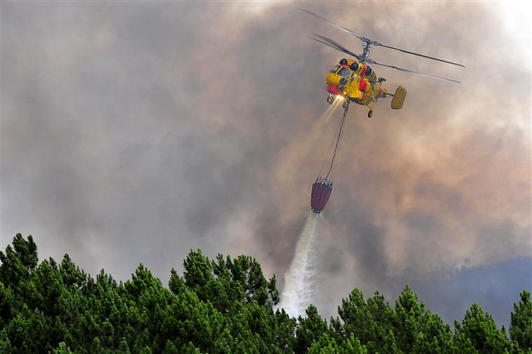 Fogos florestais: Mais de 6500 bombeiros envolvidos na fase Bravo até Julho