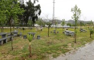 Câmara de Braga inaugurou Parque de Merendas de Aveleda