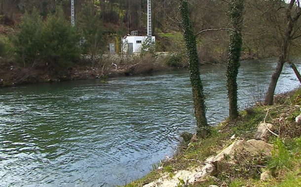 Ministério do Ambiente investiga origens de quatro bactérias multirresistentes no Rio Ave