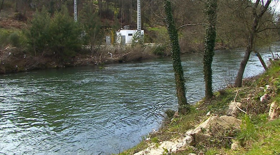 Ministério do Ambiente investiga origens de quatro bactérias multirresistentes no Rio Ave