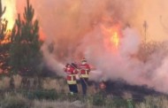 Serra d'Arga (Caminha) ainda espera meio milhão de euros para ‘apagar’ danos dos incêndios de 2015