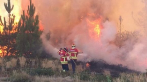Serra d'Arga (Caminha) ainda espera meio milhão de euros para ‘apagar’ danos dos incêndios de 2015