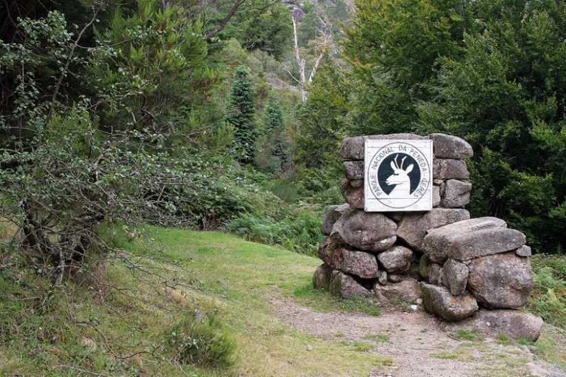 Mistério no Gerês: PJ do Porto investiga desaparecimento de  sexagenário