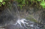 BE quer que o Ministério do Ambiente ‘ataque’ descargas poluentes no rio Vizela