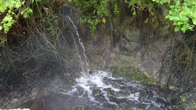 BE quer que o Ministério do Ambiente ‘ataque’ descargas poluentes no rio Vizela