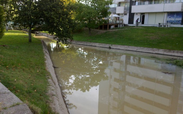 BE quer explicações da Câmara de Braga sobe aparecimento de “milhares” de peixes mortos no rio Este
