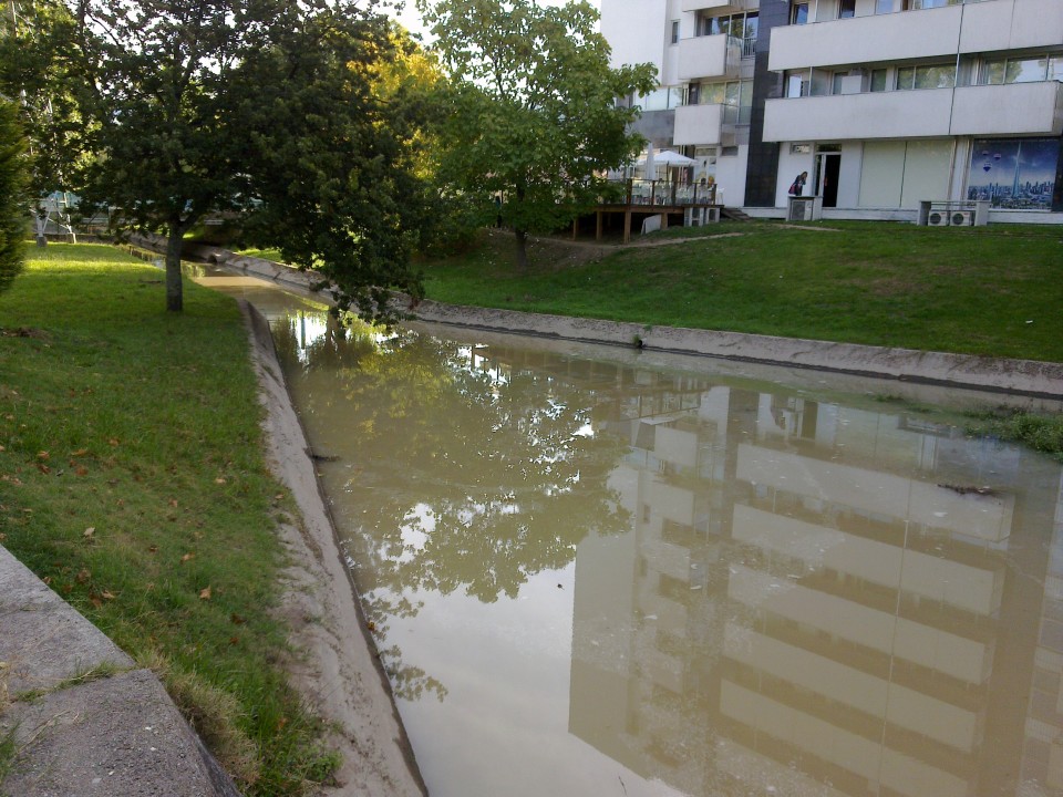 BE quer explicações da Câmara de Braga sobe aparecimento de “milhares” de peixes mortos no rio Este