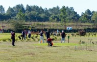 Juventude da Cruz Vermelha de Braga põe sábado no ‘green’ do Pitch& Putt de Palmeira o II Torneio de Golfe Solidário