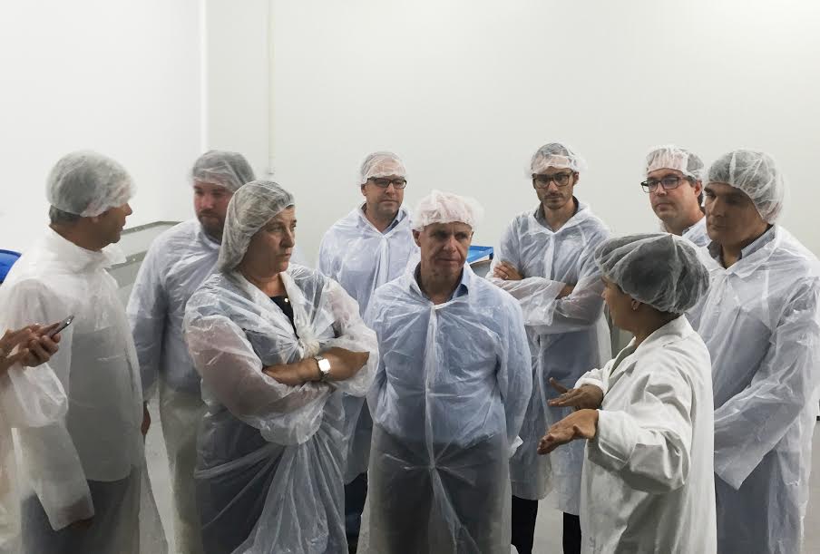 Socialistas de Braga foram para o tereno conhecer produção de frutos vermelhos