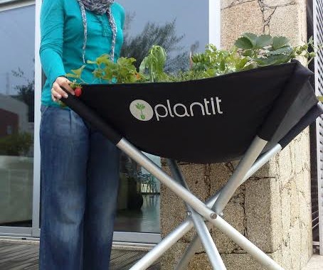 Ex-aluna da UMinho lança App que ensina a cultivar produtos biológicos em casa; gratuita para iOS e Android