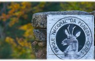 Encontrado com vida ex-fuzileiro da Maia desaparecido no Gerês