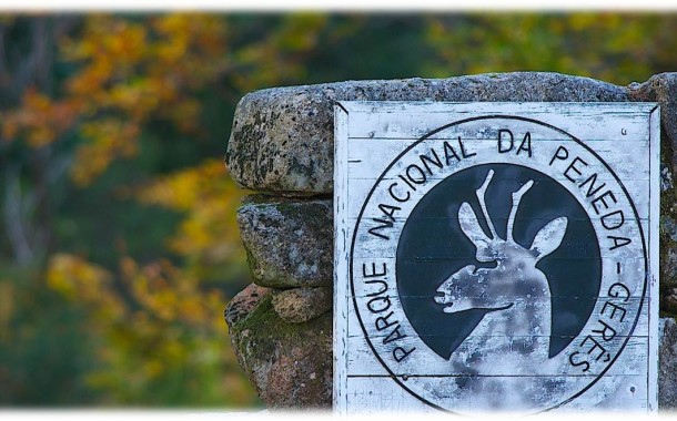Encontrado com vida ex-fuzileiro da Maia desaparecido no Gerês