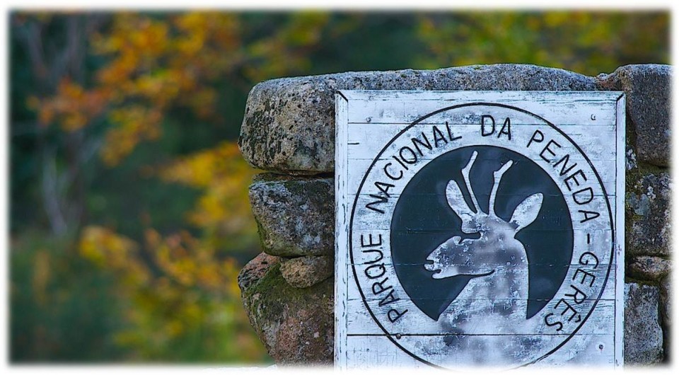 Encontrado com vida ex-fuzileiro da Maia desaparecido no Gerês