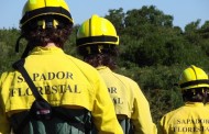 BE apresenta na AR projecto de resolução para valorização dos Sapadores Florestais