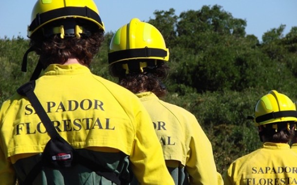 BE apresenta na AR projecto de resolução para valorização dos Sapadores Florestais