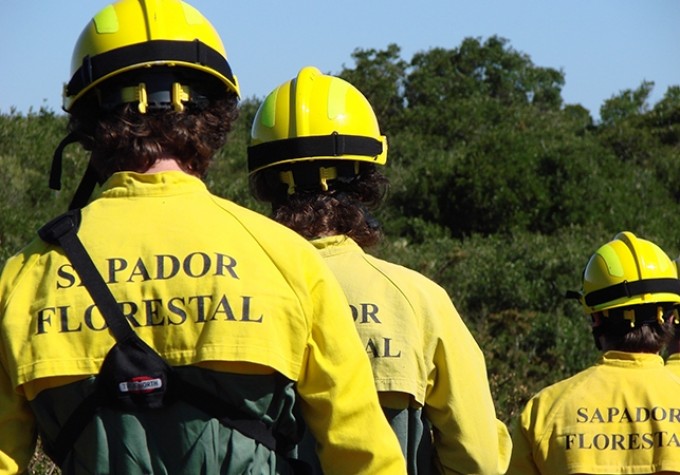 BE apresenta na AR projecto de resolução para valorização dos Sapadores Florestais