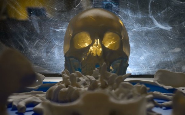 Investigadores descobrem cancro mais antigo da história