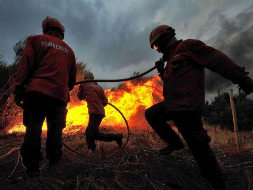 Ministra da Administração Interna quer que incendiários paguem combate aos fogos