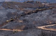 Deputados visitam esta quinta-feira o Parque Nacional da Peneda-Gerês com fogos florestais na agenda