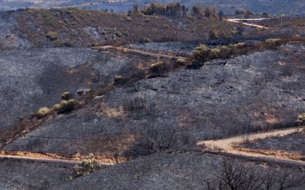 Deputados visitam esta quinta-feira o Parque Nacional da Peneda-Gerês com fogos florestais na agenda
