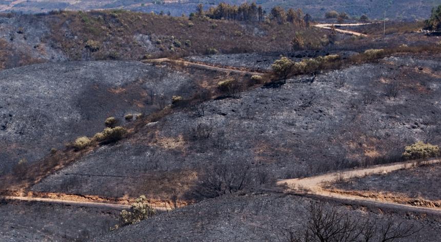 Deputados visitam esta quinta-feira o Parque Nacional da Peneda-Gerês com fogos florestais na agenda