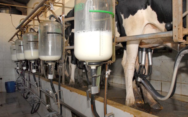 Produtores de leite vão receber mais 45 euros por vaca