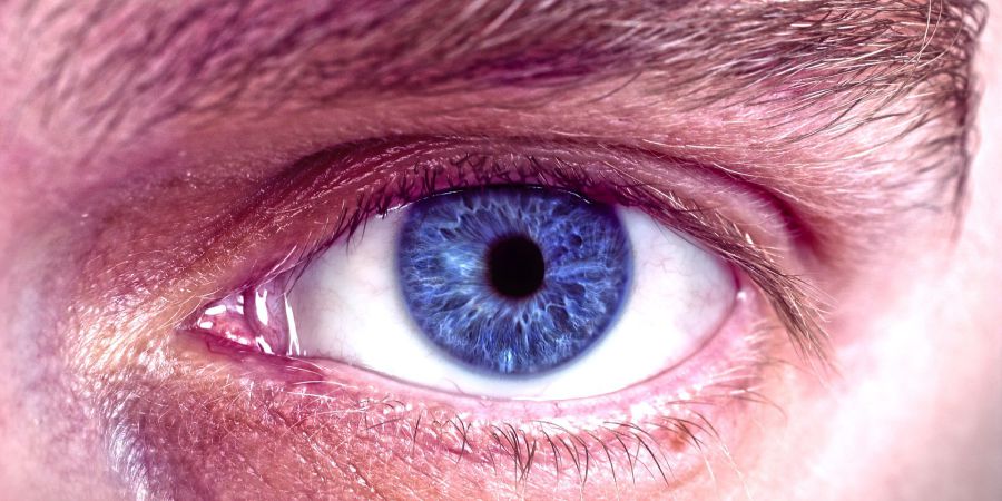 Exame aos olhos poderá diagnosticar precocemente Doença de Parkinson