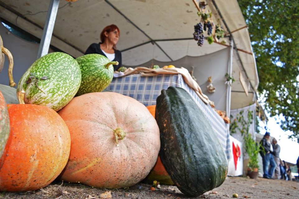 CABANELAS: Agridoce junta agricultura e doçaria de sexta-feira a domingo