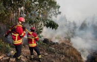 Vila Verde: Vereadores do PS apresentam medidas para minorar efeitos dos incêndios florestais ... e propõem criação de Regulamento Municipal