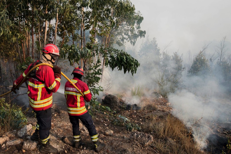 Vila Verde: Vereadores do PS apresentam medidas para minorar efeitos dos incêndios florestais ... e propõem criação de Regulamento Municipal